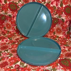 Set of 2 Lg 14” turquoise melamine divided trays
